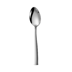 STAINLESS STEEL SPOONS